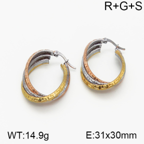 SS Earrings  5E2000728vbnb-423