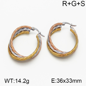 SS Earrings  5E2000729vbnb-423