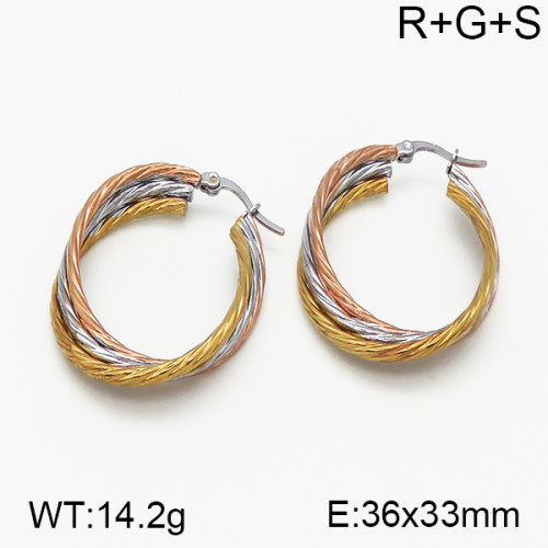 SS Earrings  5E2000729vbnb-423