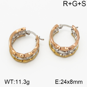 SS Earrings  5E2000730vbnb-423