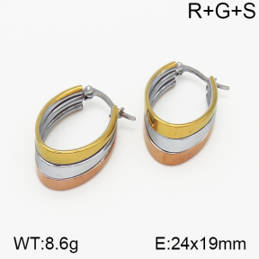 SS Earrings  5E2000731vbnb-423