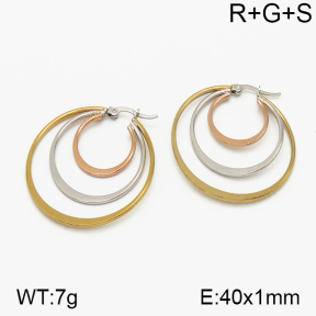 SS Earrings  5E2000732vbnb-423