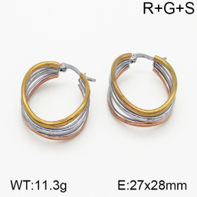 SS Earrings  5E2000733vbnb-423