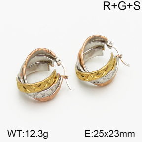 SS Earrings  5E2000734vbnb-423