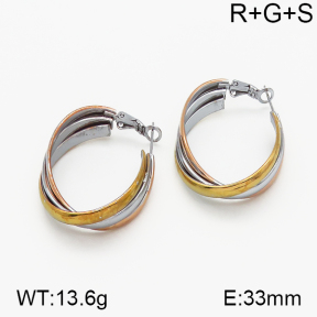 SS Earrings  5E2000735vbnl-423