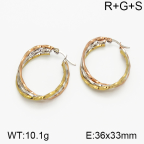 SS Earrings  5E2000736vbnb-423