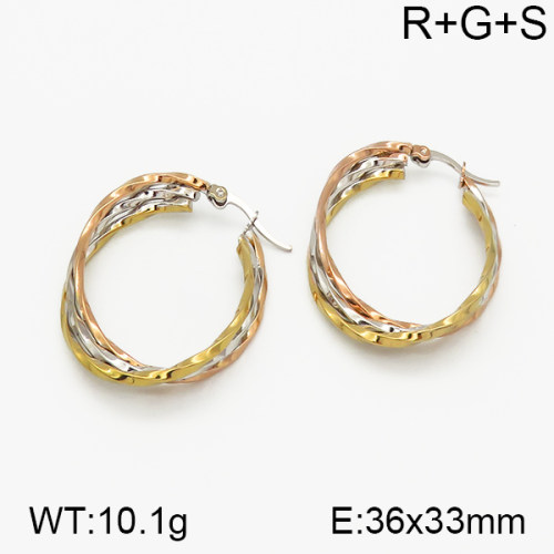 SS Earrings  5E2000736vbnb-423