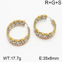 SS Earrings  5E2000737vbnb-423