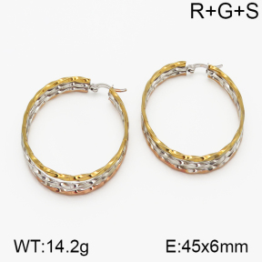 SS Earrings  5E2000738vbnb-423