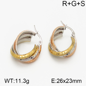 SS Earrings  5E2000739vbnb-423