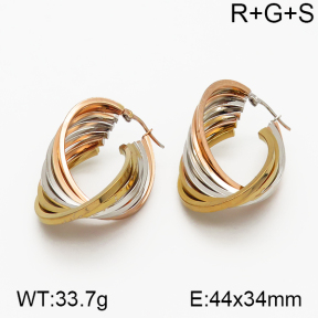 SS Earrings  5E2000740abol-423