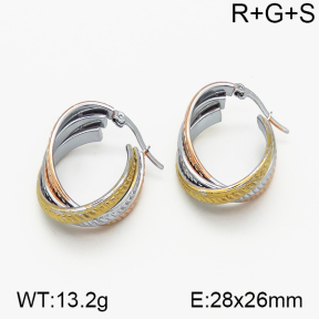 SS Earrings  5E2000741vbnb-423
