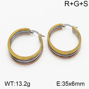 SS Earrings  5E2000742vbnb-423