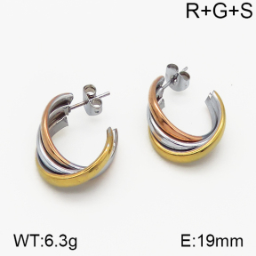 SS Earrings  5E2000743vbnb-423