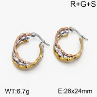 SS Earrings  5E2000744vbnb-423