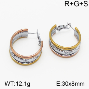 SS Earrings  5E2000745vbnl-423