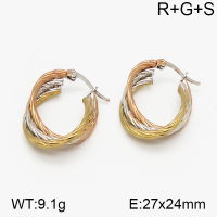 SS Earrings  5E2000746vbnb-423