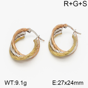 SS Earrings  5E2000746vbnb-423