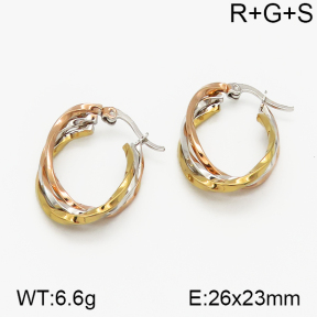 SS Earrings  5E2000747vbnb-423