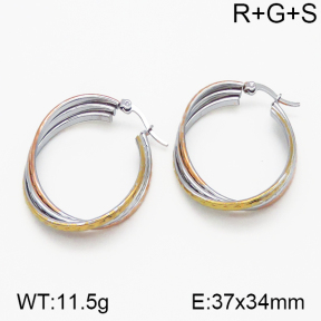 SS Earrings  5E2000748vbnb-423