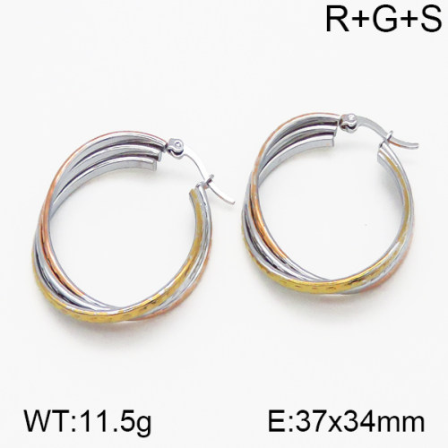 SS Earrings  5E2000748vbnb-423