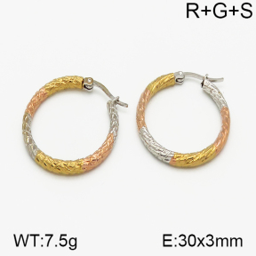 SS Earrings  5E2000749ablb-423