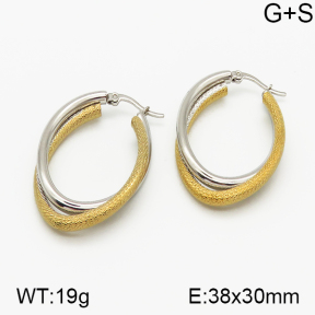 SS Earrings  5E2000751ablb-423