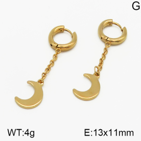 SS Earrings  5E2000763baka-423