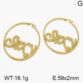 SS Earrings  5E2000767vbmb-423
