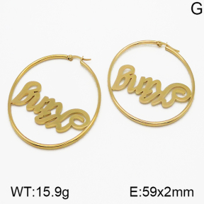 SS Earrings  5E2000768vbmb-423