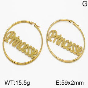 SS Earrings  5E2000770vbmb-423