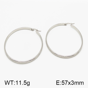 SS Earrings  5E2000775vaii-423