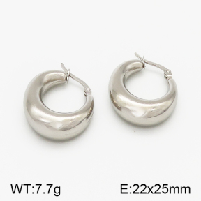 SS Earrings  5E2000776vbnl-423