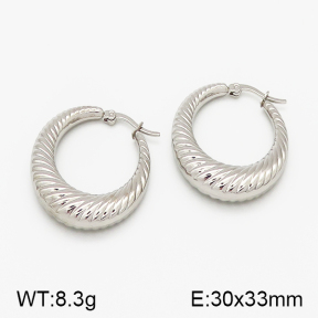 SS Earrings  5E2000777bvpl-423