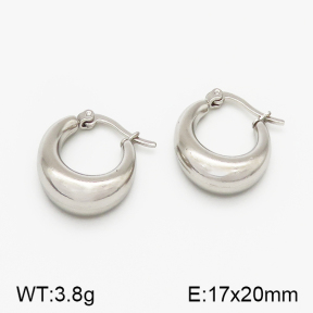 SS Earrings  5E2000779vbnb-423