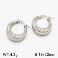 SS Earrings  5E2000780abol-423