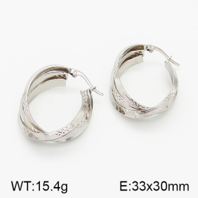 SS Earrings  5E2000785aakl-423