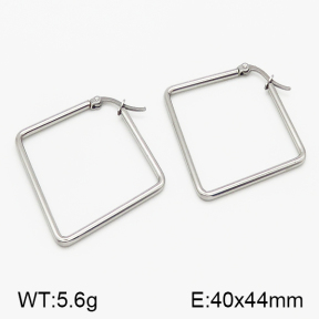 SS Earrings  5E2000788vaia-423