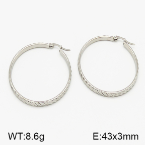 SS Earrings  5E2000789vaii-423