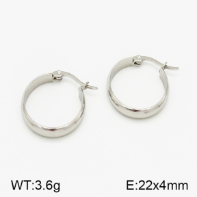 SS Earrings  5E2000790vaia-423