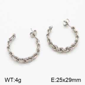 SS Earrings  5E2000792ablb-423