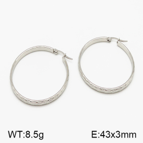 SS Earrings  5E2000794vaii-423