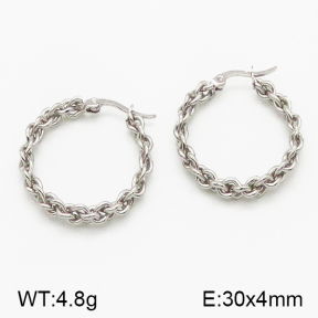 SS Earrings  5E2000796ablb-423