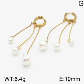 SS Earrings  5E3000196ablb-423