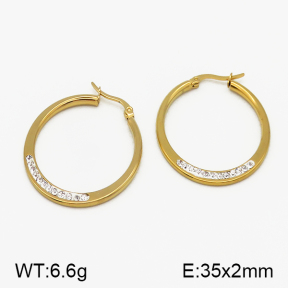 SS Earrings  5E4000620ablb-423