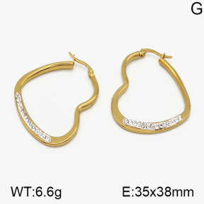 SS Earrings  5E4000621ablb-423