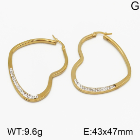 SS Earrings  5E4000623ablb-423