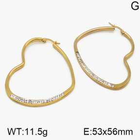 SS Earrings  5E4000624ablb-423