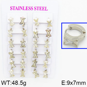 SS Earrings  2E4000284ajik-446