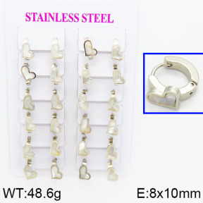 SS Earrings  2E4000286ajik-446